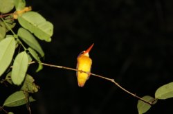 IMG_7574 (FILEminimizer)