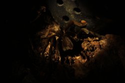 IMG_7597 (FILEminimizer)