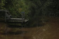 IMG_7624 (FILEminimizer)