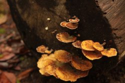 IMG_7638 (FILEminimizer)