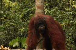 IMG_7655 (FILEminimizer)