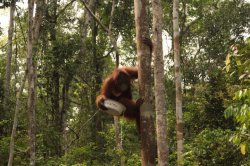 IMG_7682 (FILEminimizer)