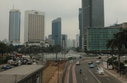 IMG_7798 (FILEminimizer)