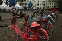 IMG_7897 (FILEminimizer)