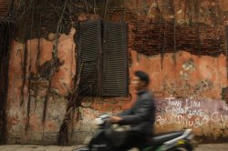 IMG_7905 (FILEminimizer)