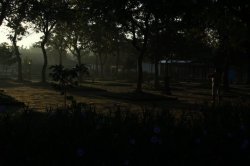 IMG_7930 (FILEminimizer)