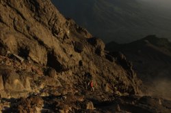 IMG_8282 (FILEminimizer)