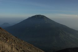 IMG_8291 (FILEminimizer)