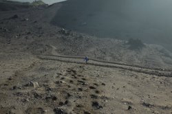 IMG_8304 (FILEminimizer)