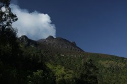 IMG_8344 (FILEminimizer)