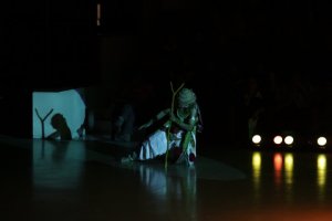 IMG_8399 (FILEminimizer)