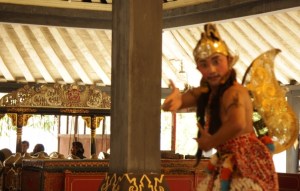 IMG_8535 (FILEminimizer)