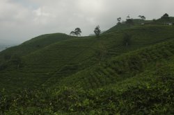 IMG_8643 (FILEminimizer)