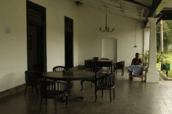 IMG_8787 (FILEminimizer)