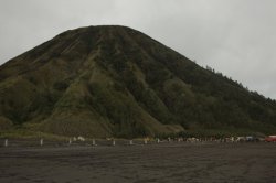 IMG_8904 (FILEminimizer)