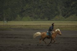 IMG_8906 (FILEminimizer)