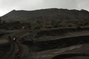 IMG_8934 (FILEminimizer)