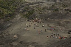 IMG_8958 (FILEminimizer)