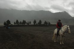 IMG_9011 (FILEminimizer)