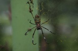 IMG_9031 (FILEminimizer)