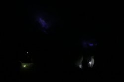 IMG_9075 (FILEminimizer)