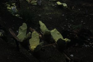 IMG_9215 (FILEminimizer)