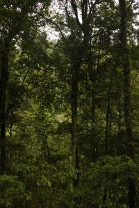 IMG_9244 (FILEminimizer)