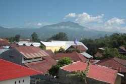 Do terraço IMG_9267 (FILEminimizer)