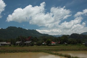 Aldeia entre Arrozais IMG_9294 (FILEminimizer)