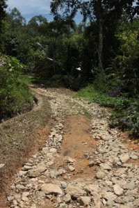 Estrada IMG_9325 (FILEminimizer)