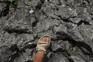 Subindo IMG_9333 (FILEminimizer)