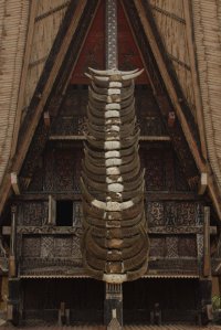 23! IMG_9337 (FILEminimizer)