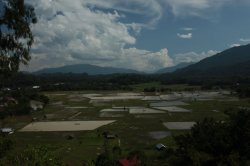 Em Redor IMG_9352 (FILEminimizer)