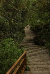 Descendo IMG_9374 (FILEminimizer)