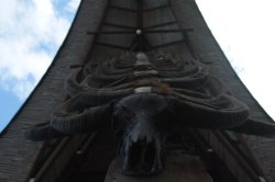 Os crânios IMG_9407 (FILEminimizer)