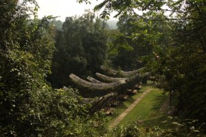 Casas em Bantu Pune IMG_9480 (FILEminimizer)