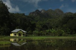 Espelho IMG_9492 (FILEminimizer)