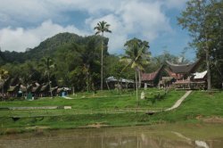 Ke´te Kesu IMG_9504 (FILEminimizer)