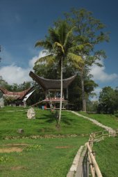 No Trilho IMG_9507 (FILEminimizer)