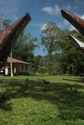 Casas IMG_9512 (FILEminimizer)