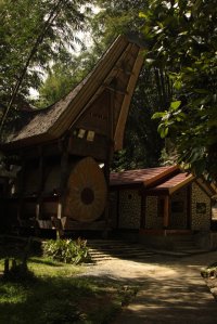 "Jazigo" IMG_9533 (FILEminimizer)