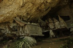 Caixões IMG_9534 (FILEminimizer)