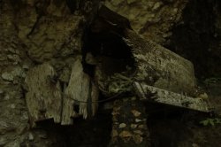 Apodrecendo IMG_9545 (FILEminimizer)