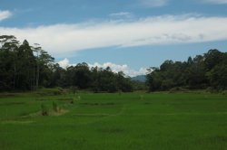 Paisagem Idílica IMG_9629 (FILEminimizer)