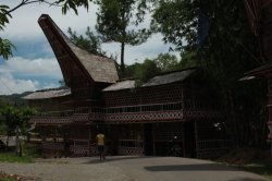 Andando IMG_9631 (FILEminimizer)