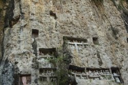 Anciões IMG_9650 (FILEminimizer)