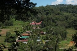 Em Suaya IMG_9657 (FILEminimizer)