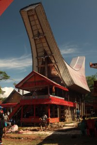 A Casa do Ancião IMG_9670 (FILEminimizer)