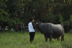 Aguardando IMG_9715 (FILEminimizer)