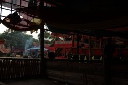 Na Casinha de madeira IMG_9734 (FILEminimizer)